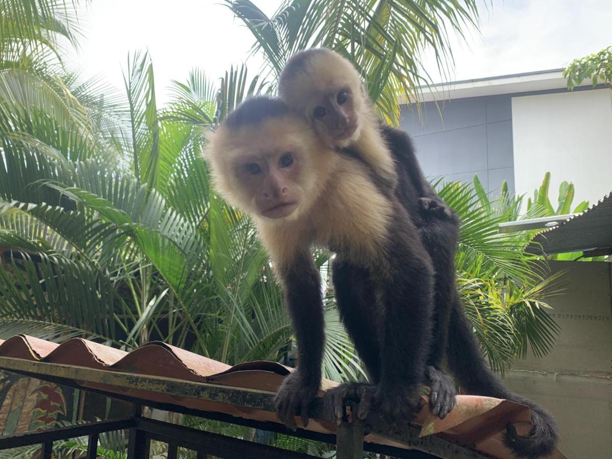La Posada Jungle Hotel Мануэль-Антонио Экстерьер фото