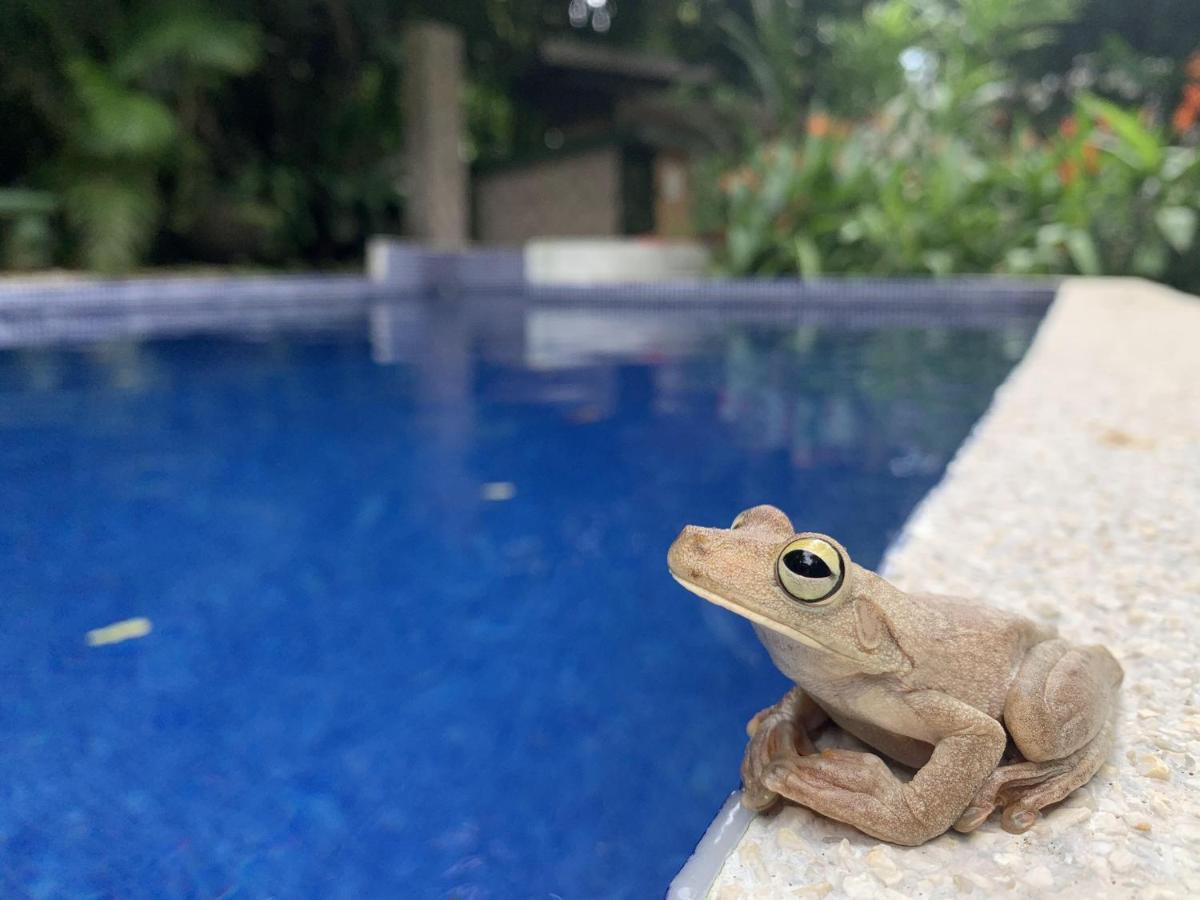 La Posada Jungle Hotel Мануэль-Антонио Экстерьер фото